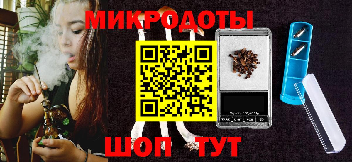 Псилоцибиновые грибы Psilocybine cubensis Долгопрудный