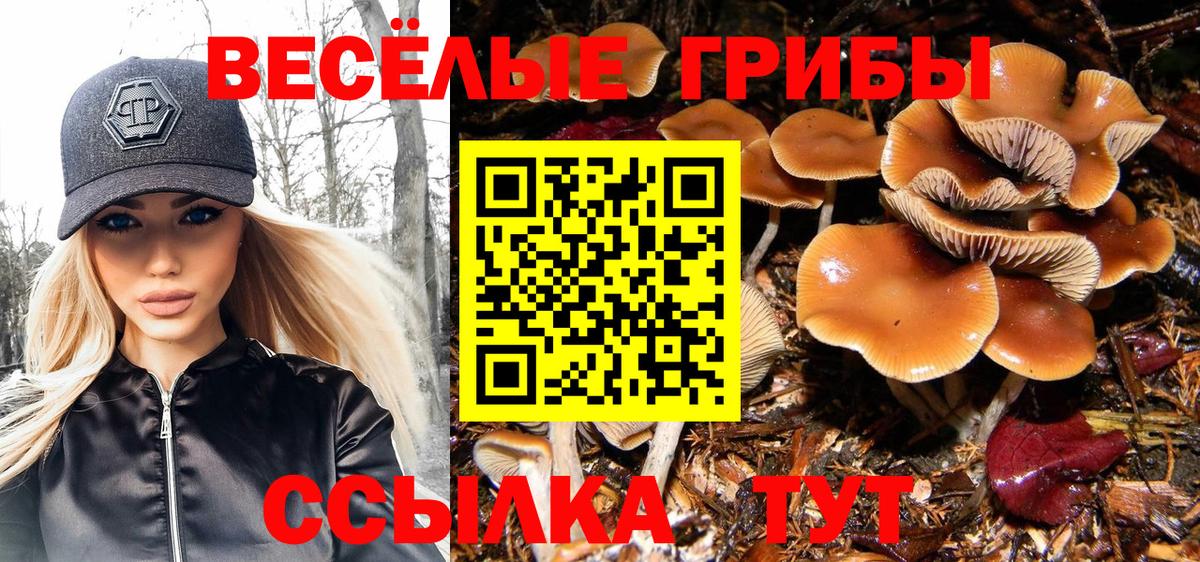 Псилоцибиновые грибы мухоморы  Вход с VPN  Долгопрудный 