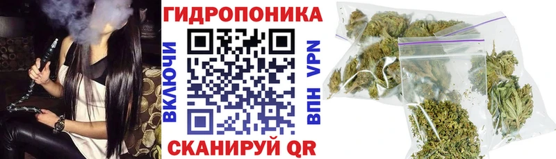 ОМГ ОМГ как войти  Долгопрудный  МАРИХУАНА Amnesia 
